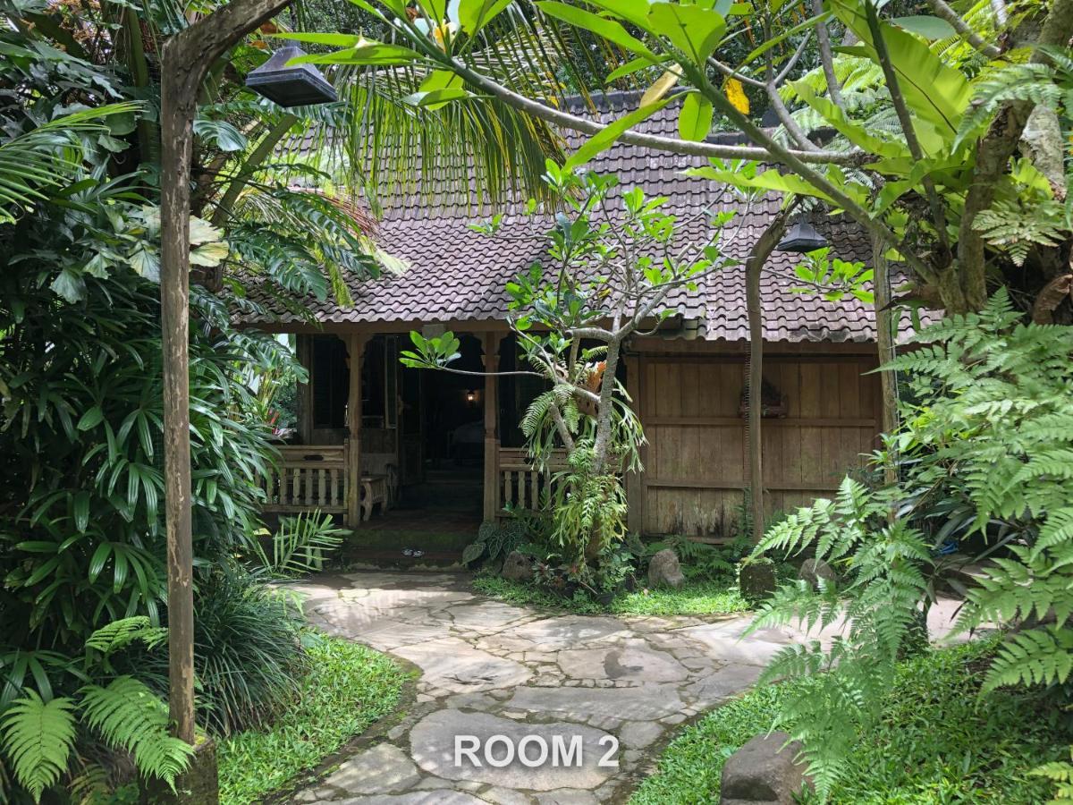Sweet Orange Pondok Ubud  Luaran gambar