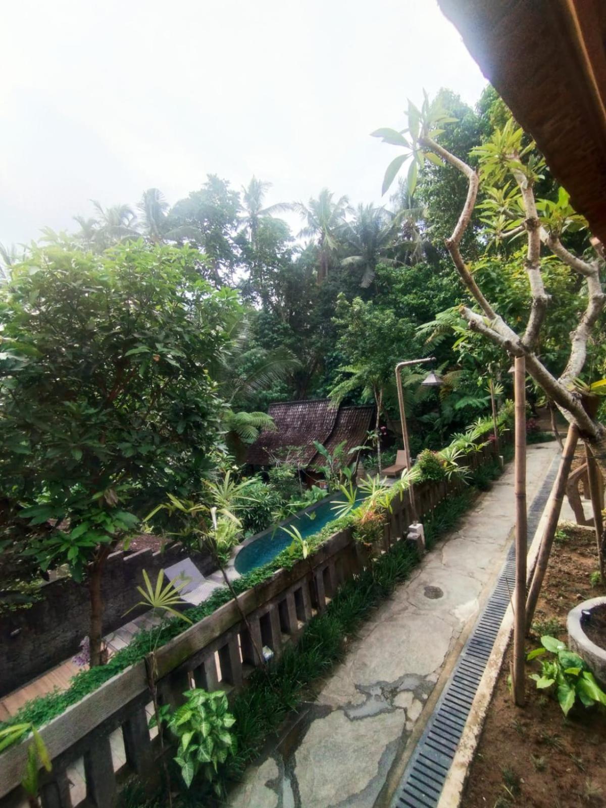 Sweet Orange Pondok Ubud  Luaran gambar